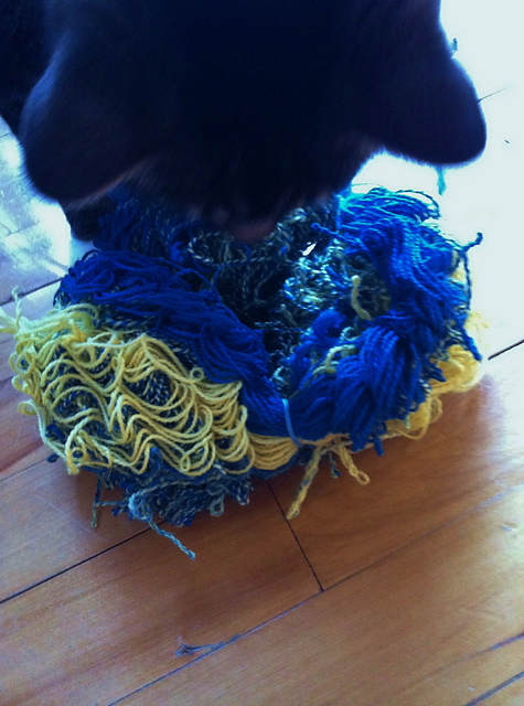 10527062_10152237491787475_1401975636_o_medium2